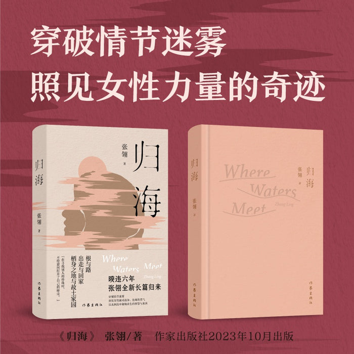 归海:张翎全新长篇归来
