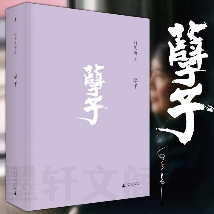 孽子:白先勇经典作品