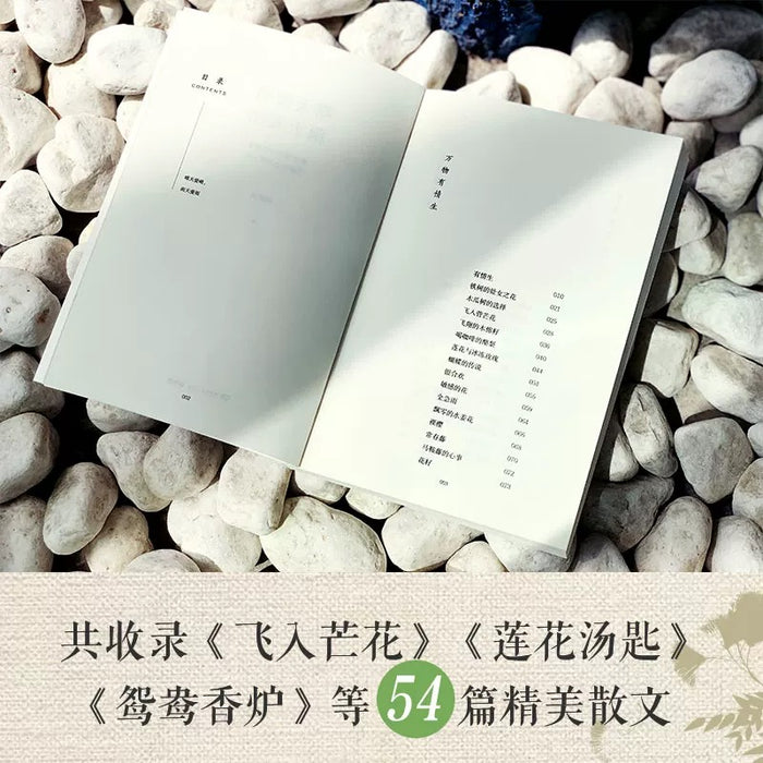 晴天爱晴雨天爱雨:台湾心理疗愈大师林清玄作品