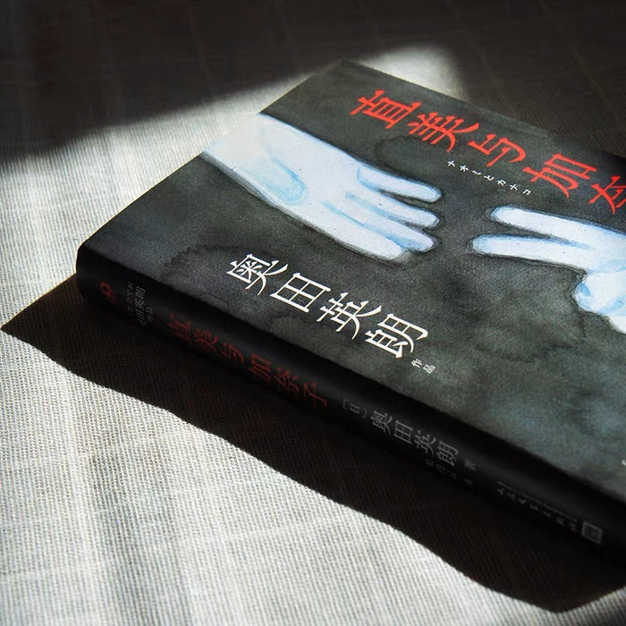 直美与加奈子:奥田英朗引发争议的反家庭暴力悬疑小说