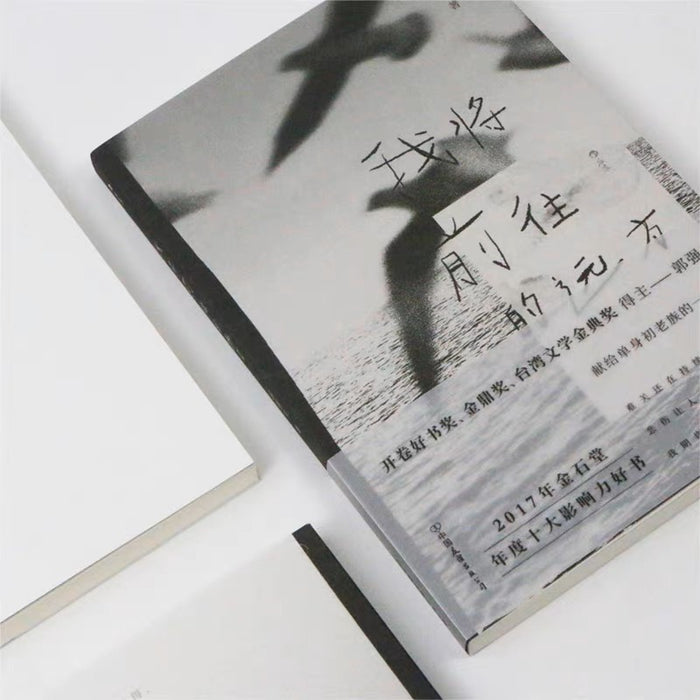 我将前往的远方:献给单身初老族的一首情歌