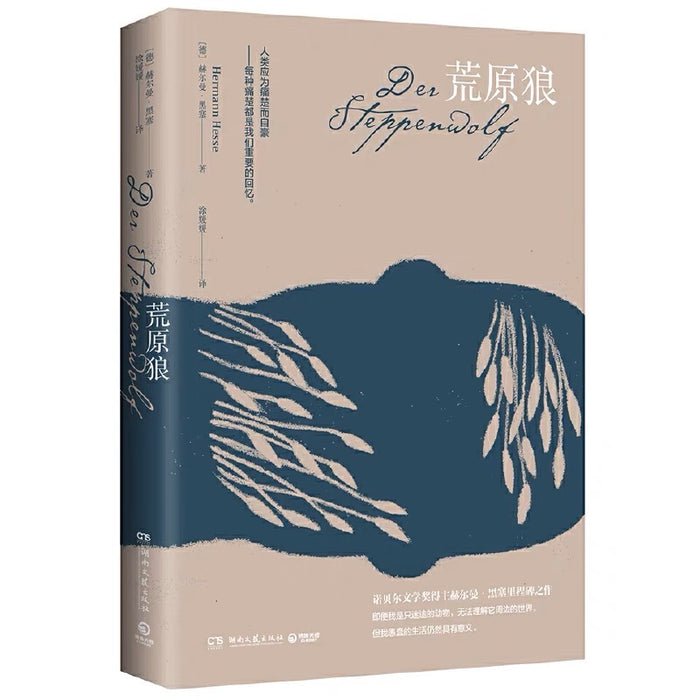 荒原狼:黑塞经典作品