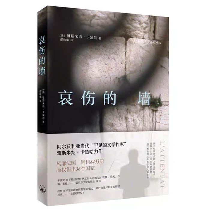 哀伤的墙