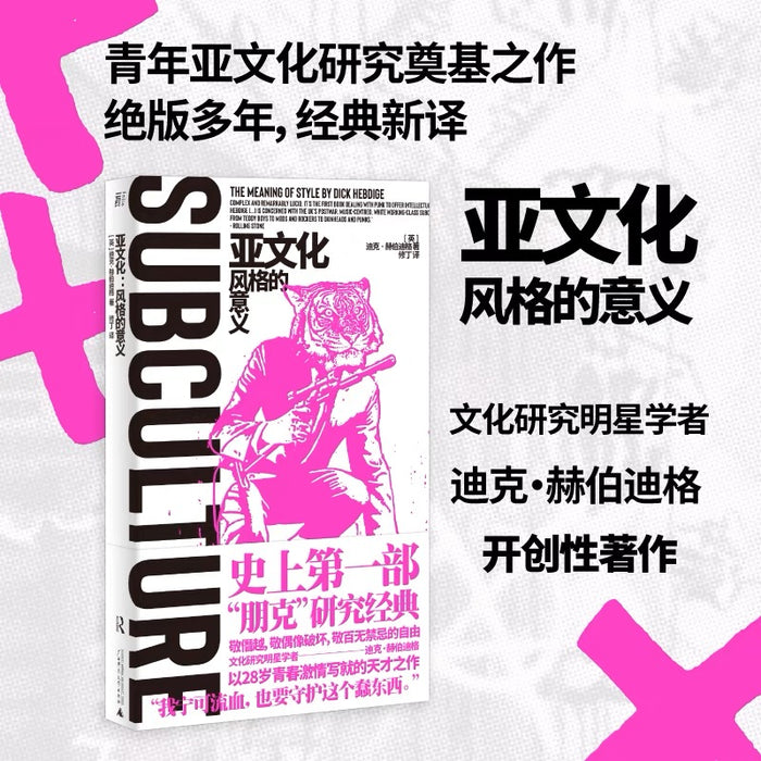 亚文化:风格的意义(朋克文化研究奠基之作,绝版多年,经典新译)