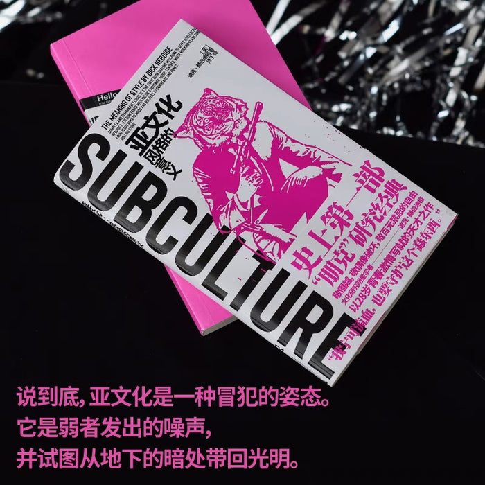 亚文化:风格的意义(朋克文化研究奠基之作,绝版多年,经典新译)