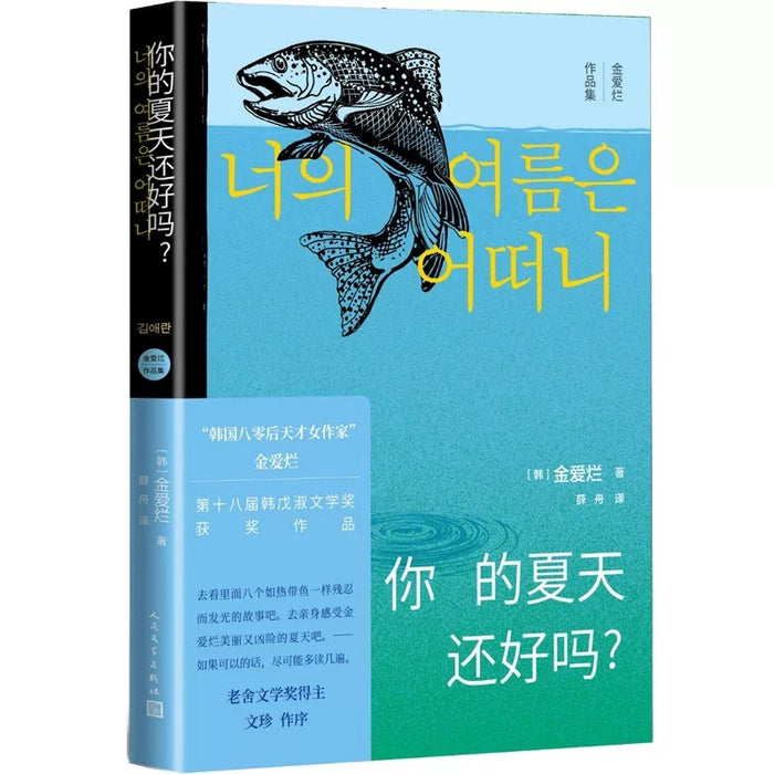 你的夏天还好吗?:金爱烂作品集