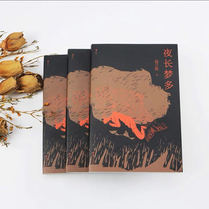 夜长梦多:首届中国长篇小说年度金榜作品