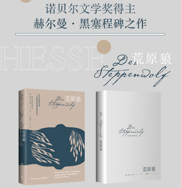 荒原狼:黑塞经典作品