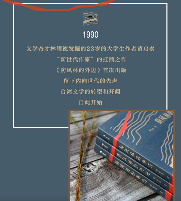 防风林的外边:台湾文学经典