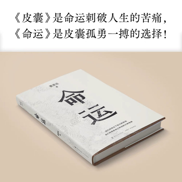 命运:精装版