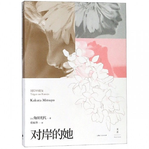 直木奖获奖作品:对岸的他