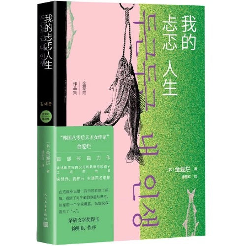 我的忐忑人生:金爱烂作品集