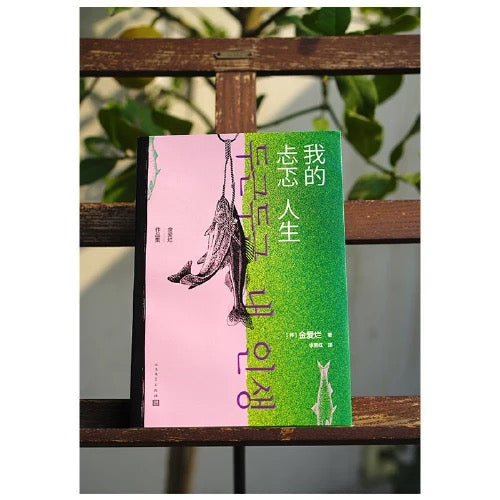 我的忐忑人生:金爱烂作品集