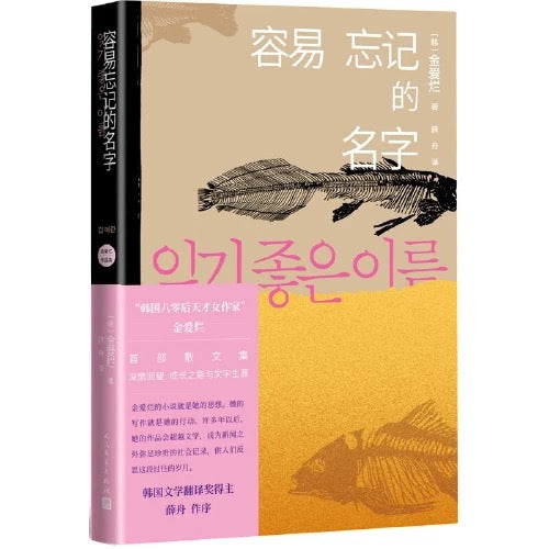 容易忘记的名字:金爱烂作品集