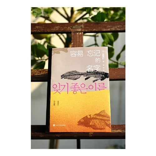 容易忘记的名字:金爱烂作品集