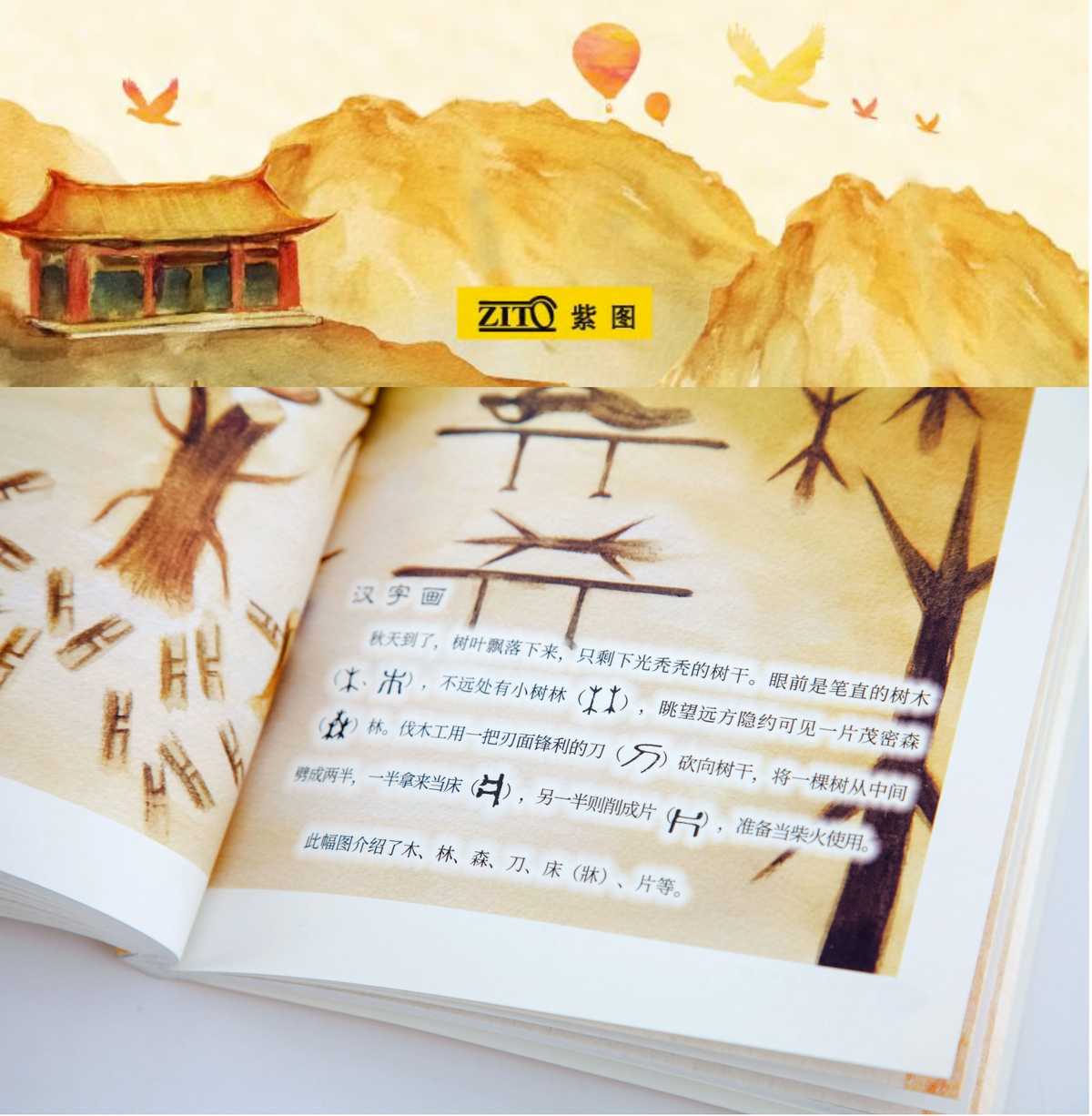 汉字好好玩 （全五册装）：获选台湾“百年文学好书”