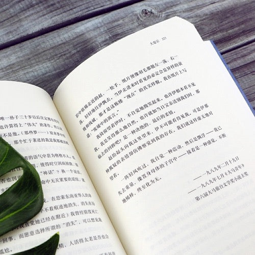 乌暗暝：马华文学重量级作家黄锦树作品
